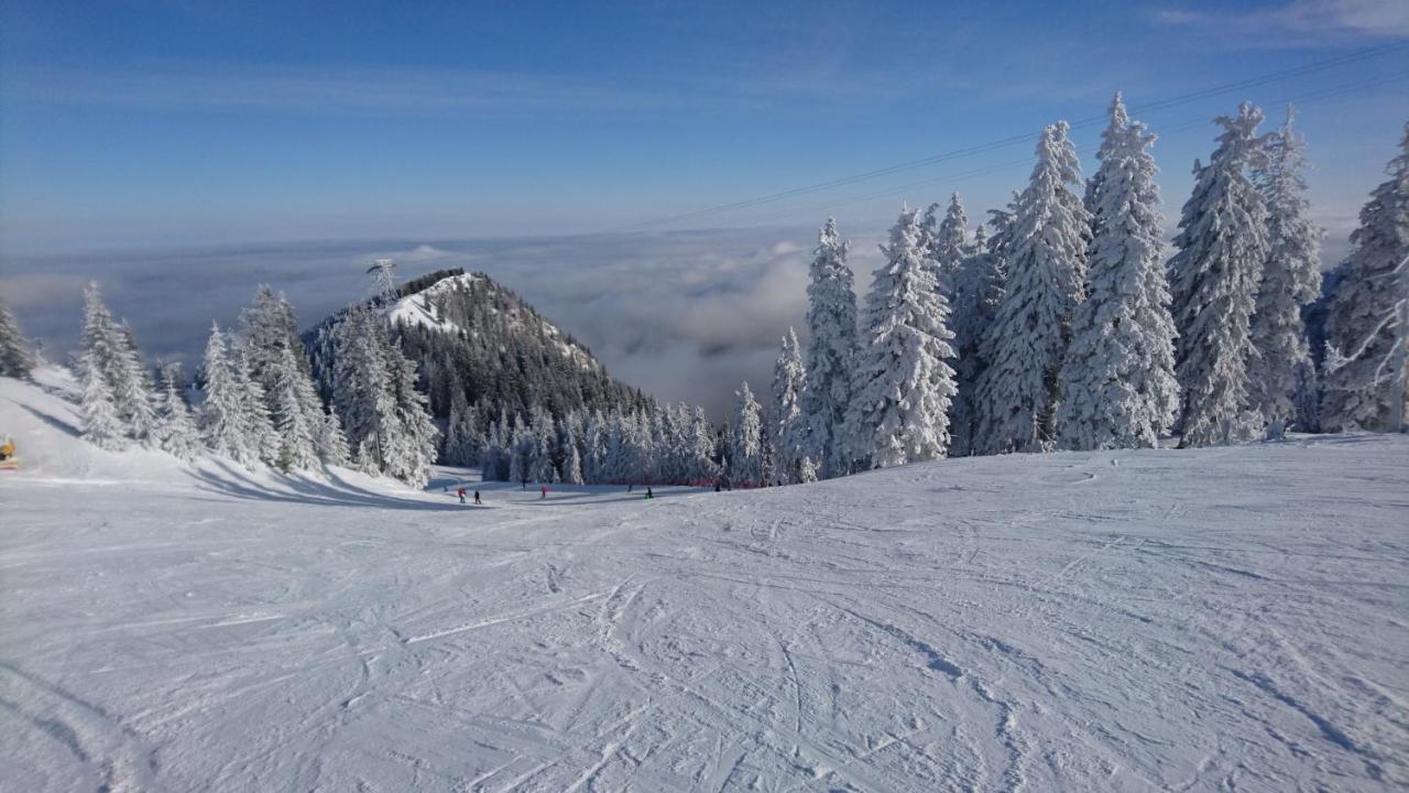 Apartament 2706 Alpin Resort, Etaj 7, Poiana Brașov Exterior foto