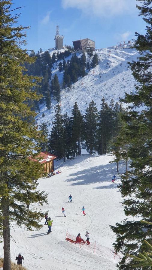 Apartament 2706 Alpin Resort, Etaj 7, Poiana Brașov Exterior foto